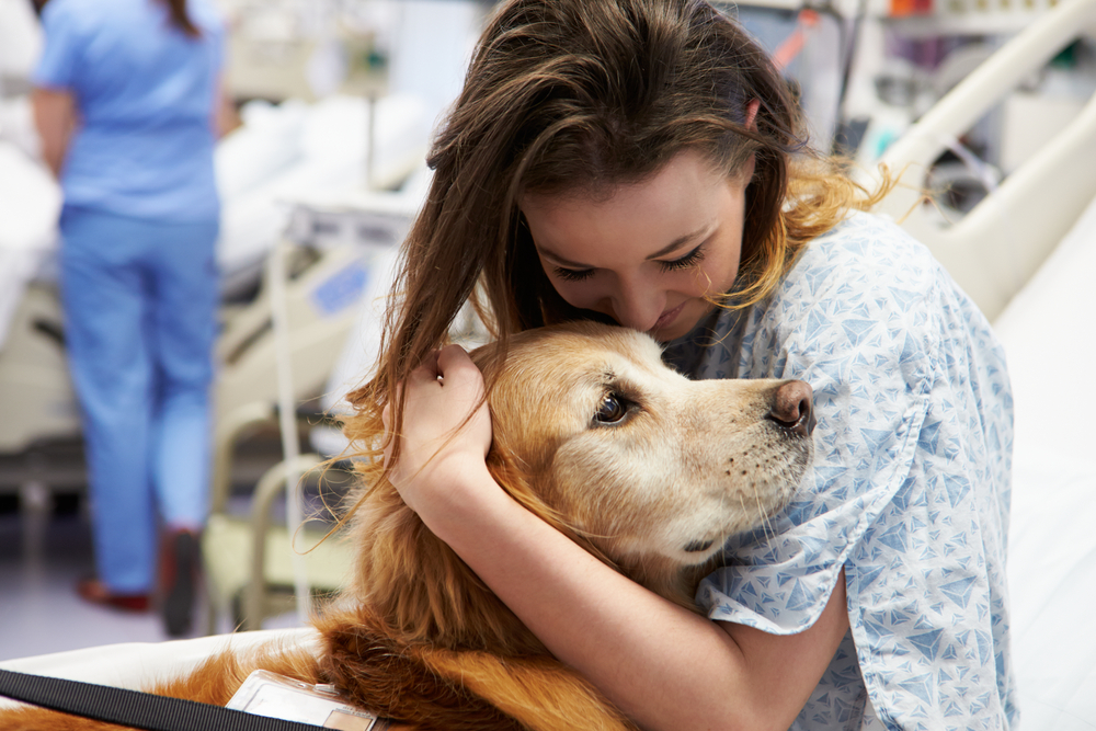 The Benefits of Canine Assisted Therapy | The Recovery Village Palm Beach  at Baptist Health