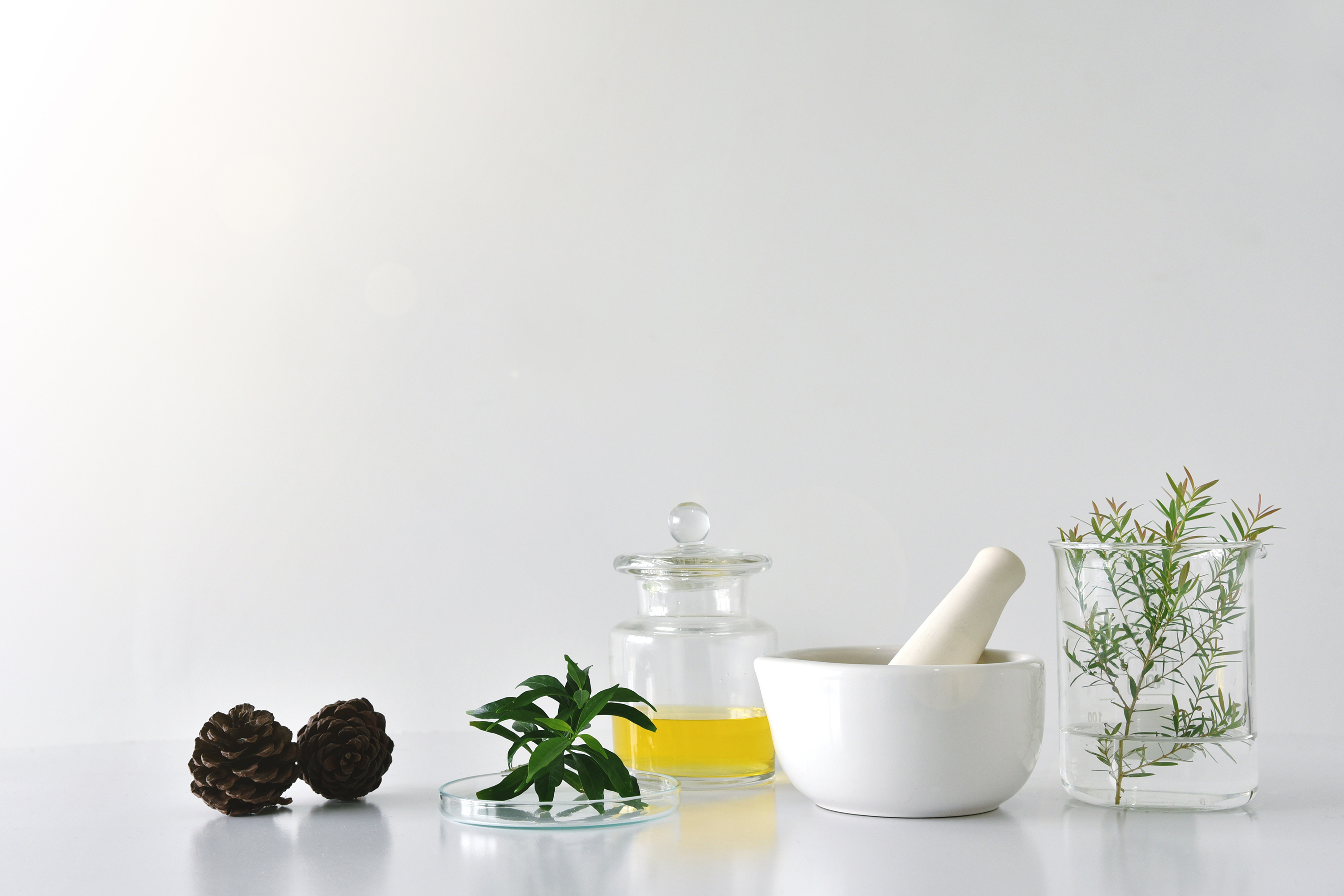 Holistic and Alternative Addiction Therapies
